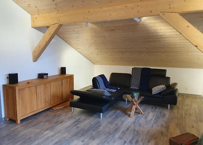 Chalet Wildi Horu Og シャレー *